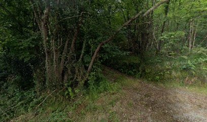 Foto de Asturiana de Decoraciones y Revestimientos SL