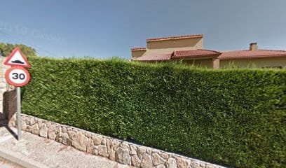 Foto de Decoraciones Bermar