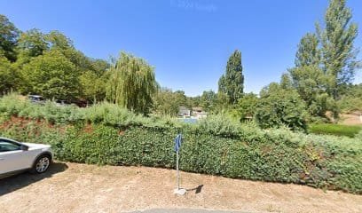 Foto de Mural graffiti “Naturaleza interpretada”