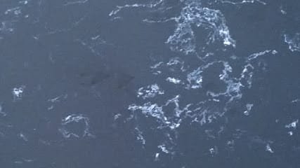 Foto de Pintores Gerardo Rafael