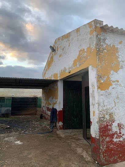 Foto de Pinturas y reparaciones mony