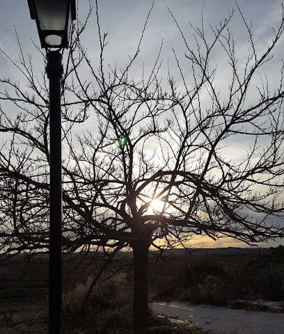 Foto de Roberto Linares Ruiz