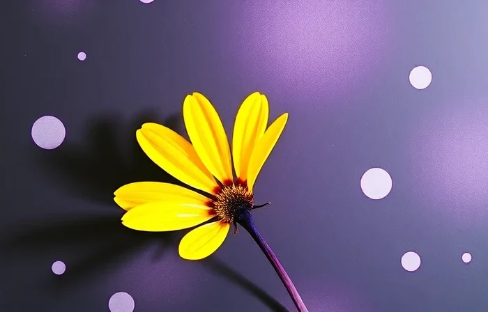 Pintar un Garaje: Una Guía Paso a Paso