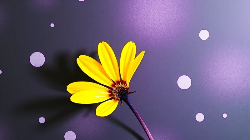 Pintar un Garaje: Una Guía Paso a Paso