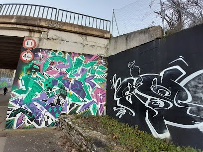 Foto de Grafitis cistierna