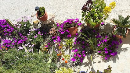 Foto de HILLIER'S PAINTERS & DECORATORS