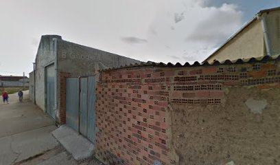 Foto de Mural Pavo Real