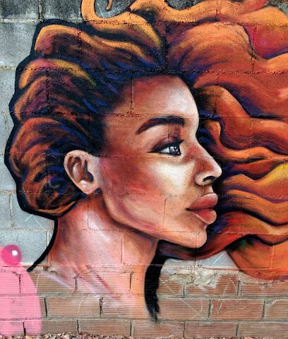 Foto de PINTURA MURAL Paola Mikiej