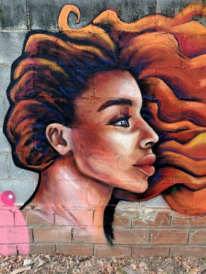 Foto de PINTURA MURAL Paola Mikiej