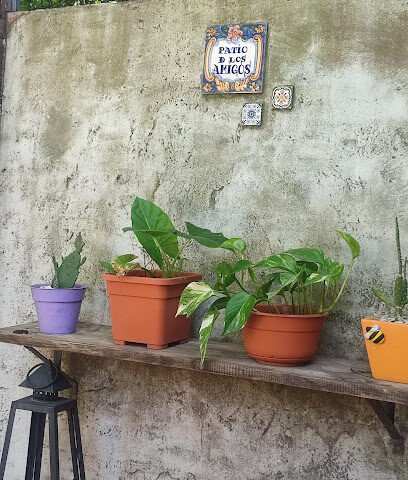 Foto de Pintor Daniel Tonero