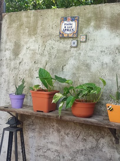 Foto de Pintor Daniel Tonero