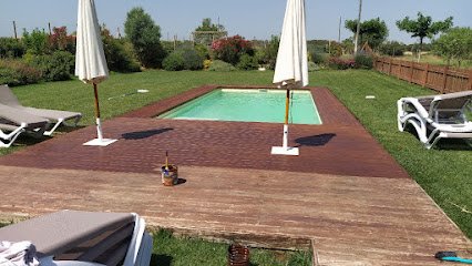 Foto de Pintor Xavier Palacios