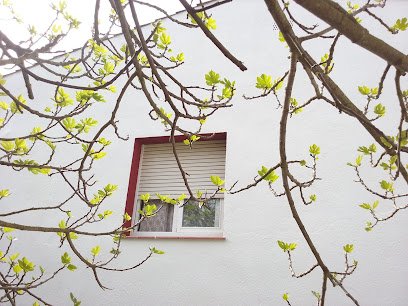 Foto de Pintorstoniegea