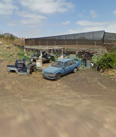 Foto de Pinturas Adrian Vieira