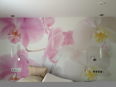 Foto de Pinturas Carty