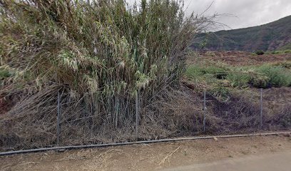 Foto de Pinturas Grinorte