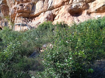 Foto de Pintures rupestres de Capçanes