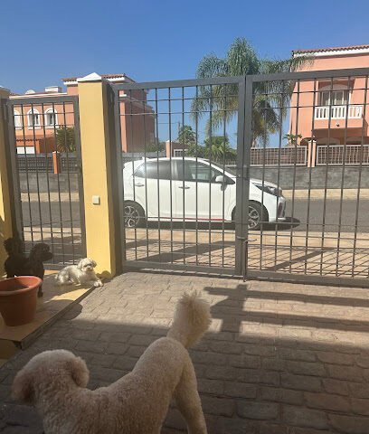 Foto de pintorestenerife