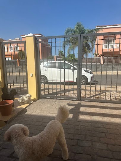 Foto de pintorestenerife