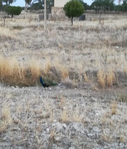 Foto de Atilano Cancho Pintura y decoración