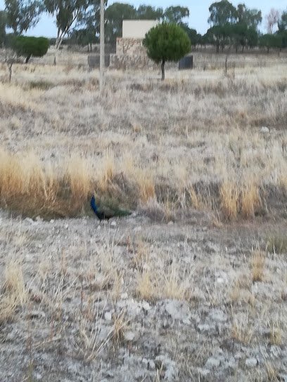 Foto de Atilano Cancho Pintura y decoración