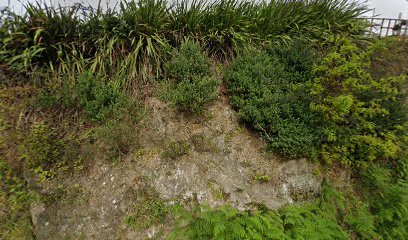 Foto de Decoraciones Moure