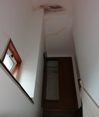 Foto de NICO PINTURAS