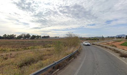 Foto de Pintor Castillo de Cartagena