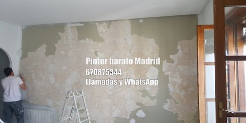 Foto de Pintor Madrid