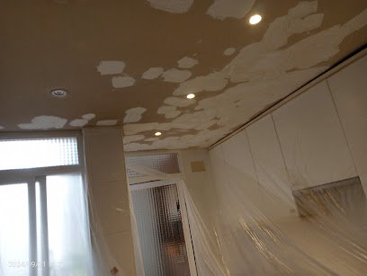 Foto de Pintor económico y manitas