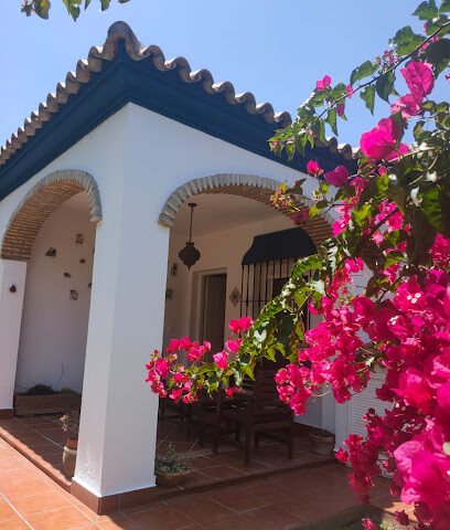 Foto de PintorGallardo