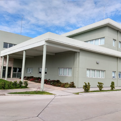 Foto de Pintores Pedro Cuesta