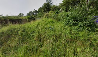 Foto de Taller de Escultura Jung