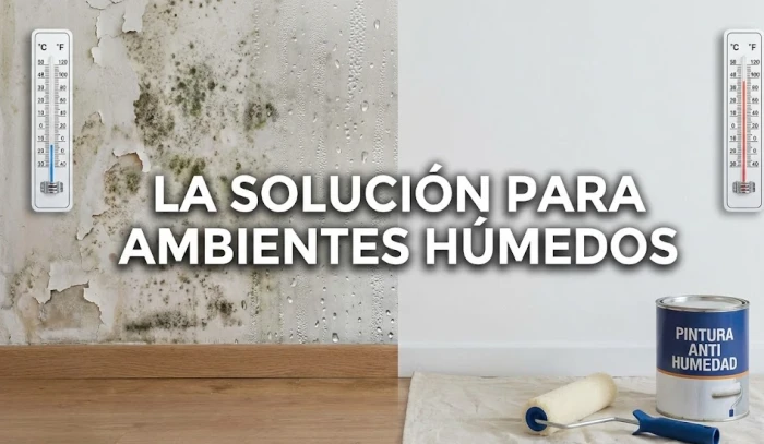 Pinturas Anti Humedad